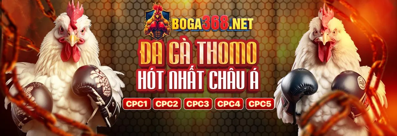 Đá gà trực tuyến kịch tính tại zet bet